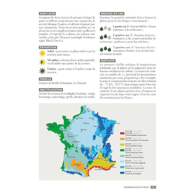 Créer des guildes d'abondance - Des arbres fruitiers et leurs plantes compagnes