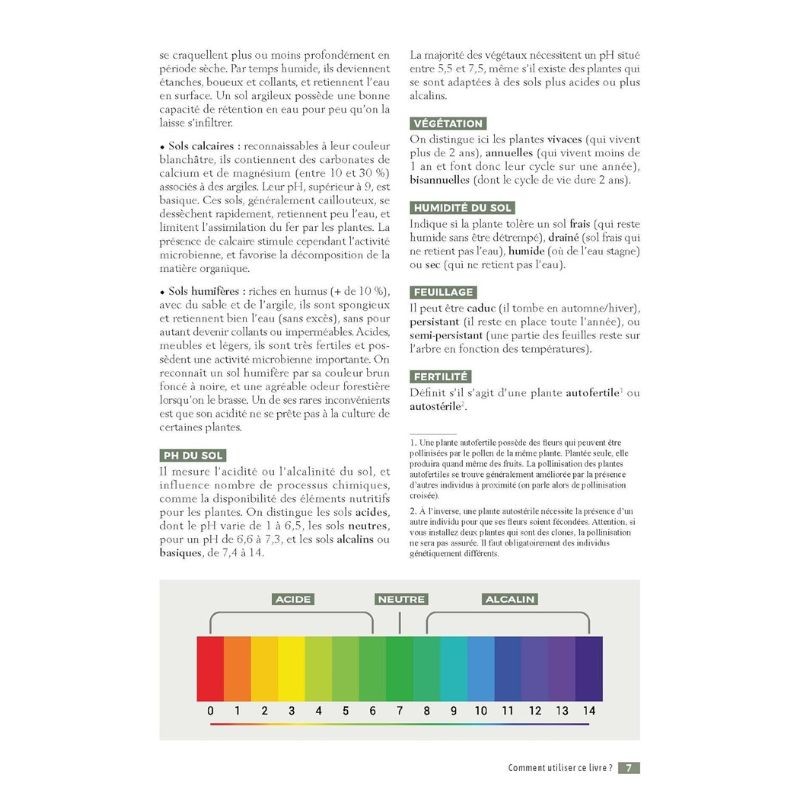 Créer des guildes d'abondance - Des arbres fruitiers et leurs plantes compagnes