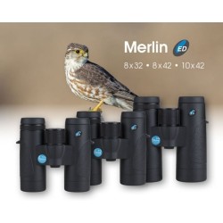 Viking Merlin ED 8x32 - Jumelles