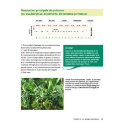 Bienvenue en syntropie Un jardin d'abondance - des principes au terrain