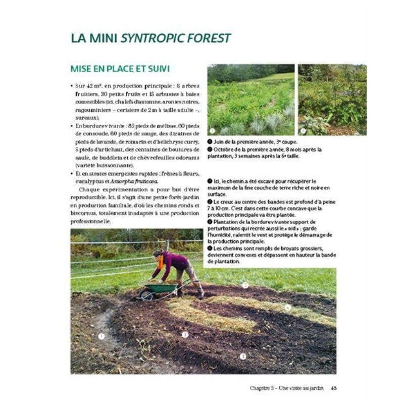 Bienvenue en syntropie Un jardin d'abondance - des principes au terrain