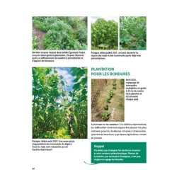 Bienvenue en syntropie Un jardin d'abondance - des principes au terrain