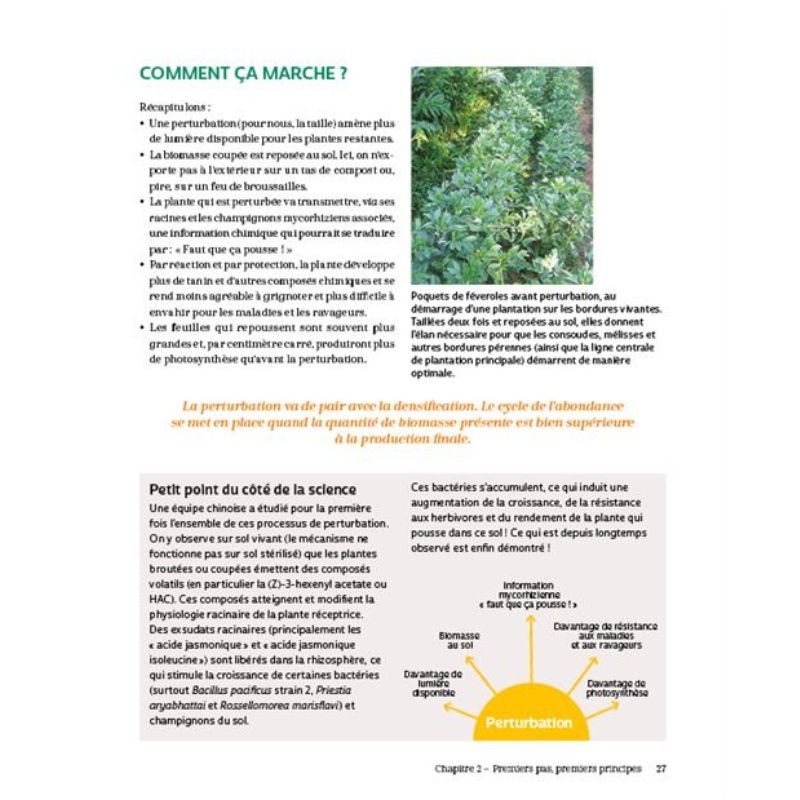 Bienvenue en syntropie Un jardin d'abondance - des principes au terrain