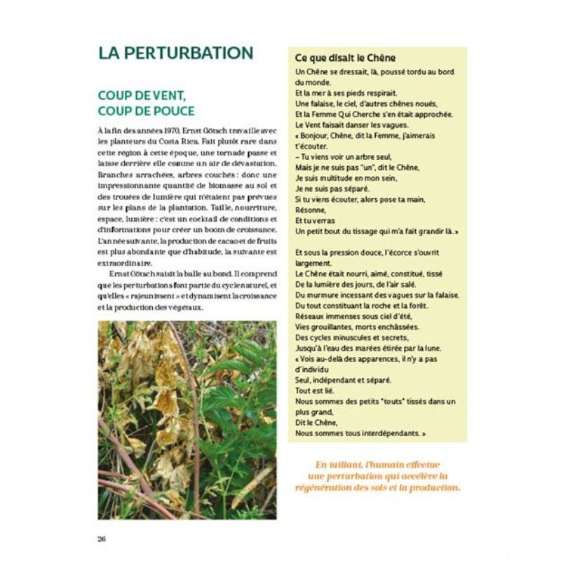 Bienvenue en syntropie Un jardin d'abondance - des principes au terrain