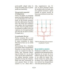 10 astuces indispensables pour tailler les arbres fruitiers - Anti-gaspi