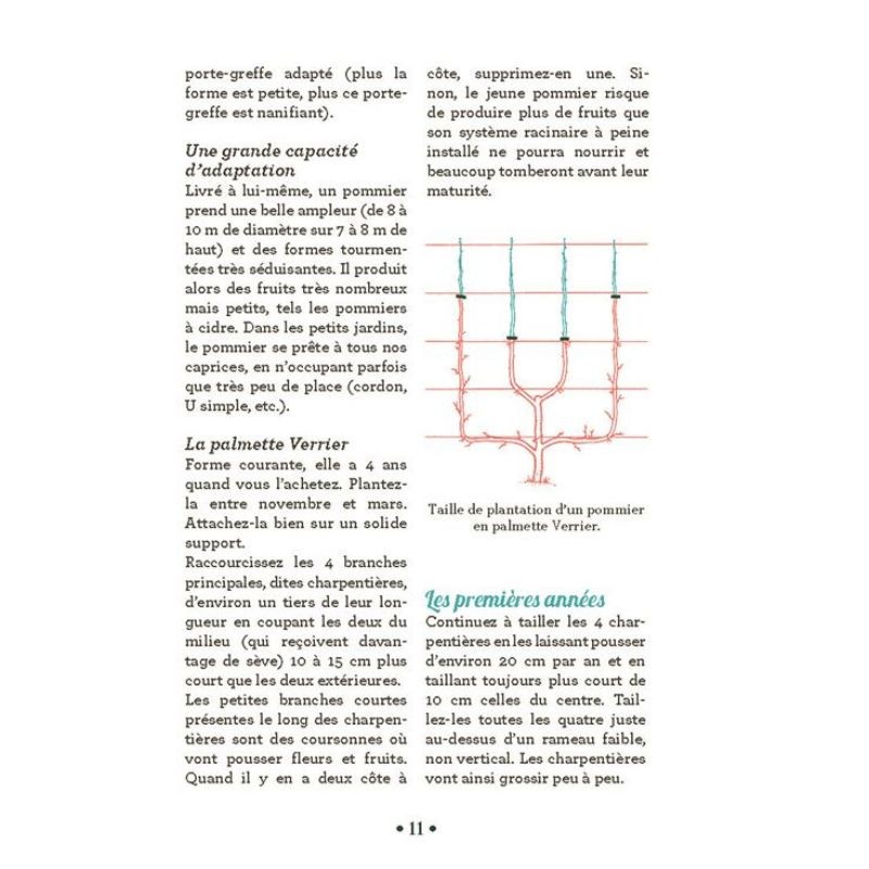 10 astuces indispensables pour tailler les arbres fruitiers - Anti-gaspi