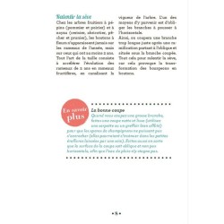 10 astuces indispensables pour tailler les arbres fruitiers - Anti-gaspi