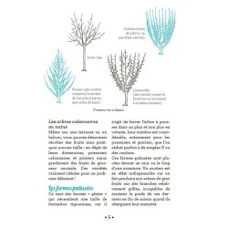 10 astuces indispensables pour tailler les arbres fruitiers - Anti-gaspi