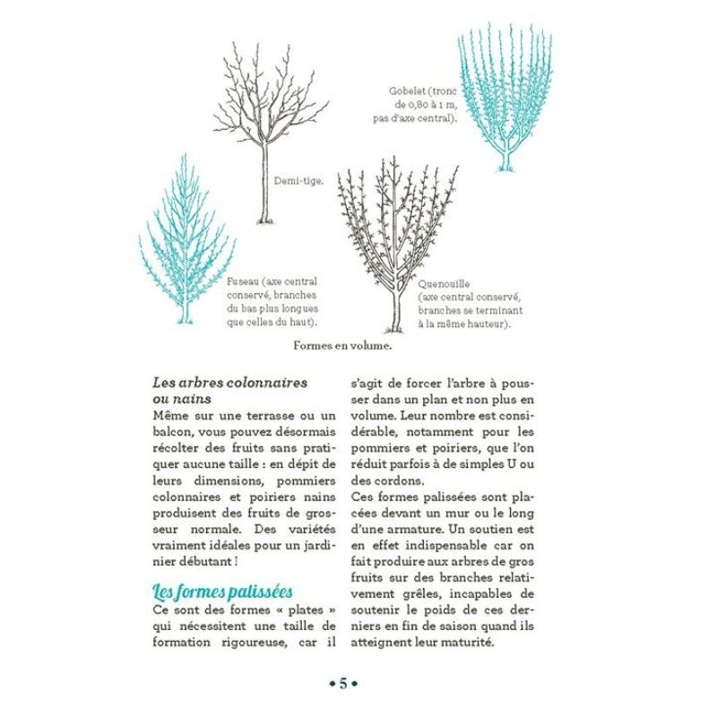 10 astuces indispensables pour tailler les arbres fruitiers - Anti-gaspi