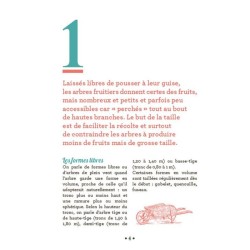10 astuces indispensables pour tailler les arbres fruitiers - Anti-gaspi