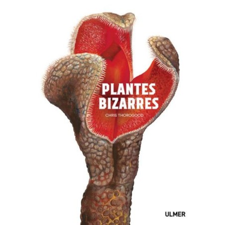 Plantes bizarres
