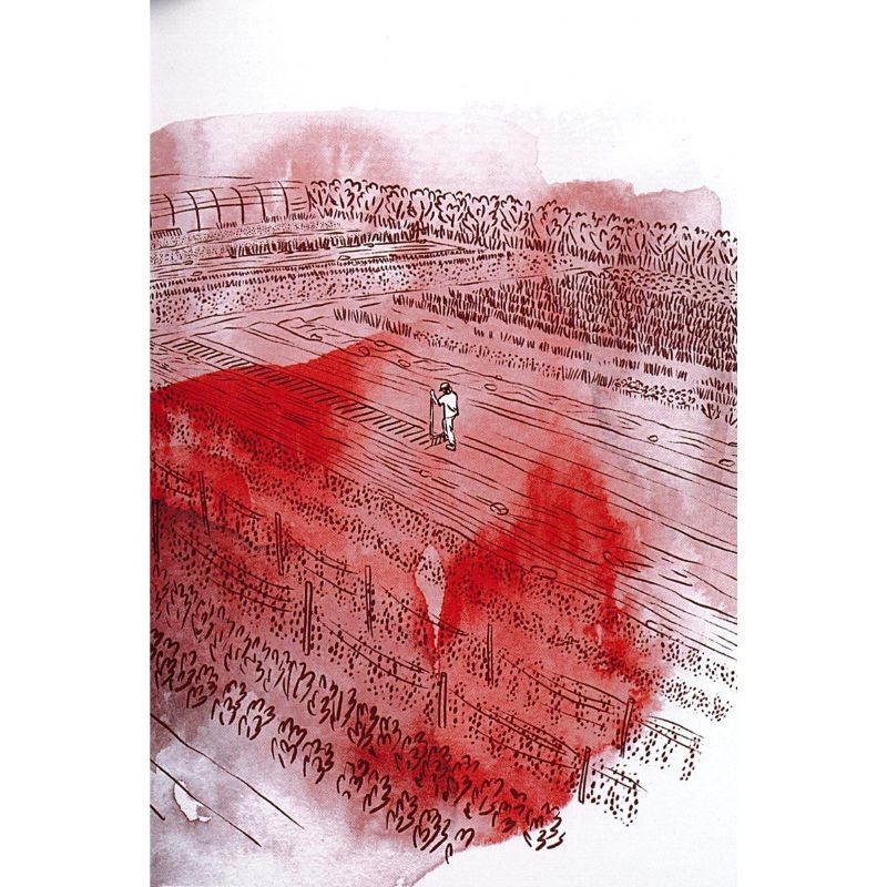 Les tomates - Du Jardinier-Maraîcher