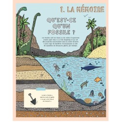 Secrets de pierres et d'os - Les fossiles nous racontent l'histoire de la vie