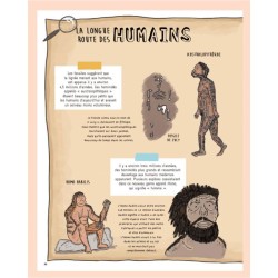 Secrets de pierres et d'os - Les fossiles nous racontent l'histoire de la vie