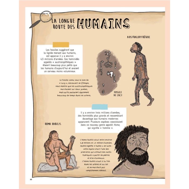 Secrets de pierres et d'os - Les fossiles nous racontent l'histoire de la vie