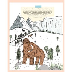 Secrets de pierres et d'os - Les fossiles nous racontent l'histoire de la vie