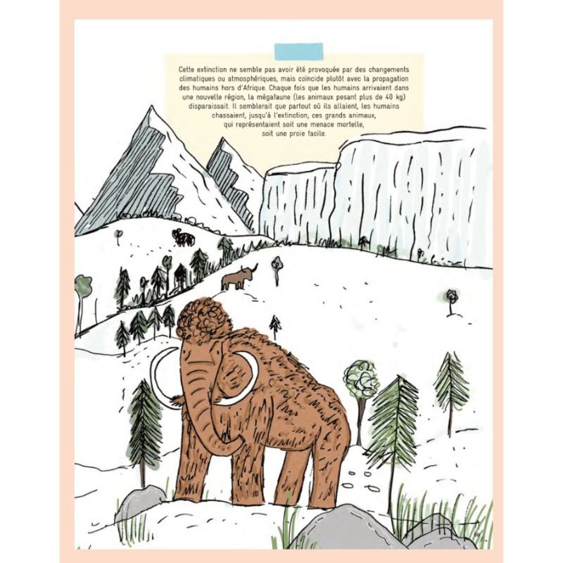 Secrets de pierres et d'os - Les fossiles nous racontent l'histoire de la vie