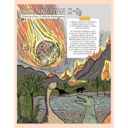 Secrets de pierres et d'os - Les fossiles nous racontent l'histoire de la vie