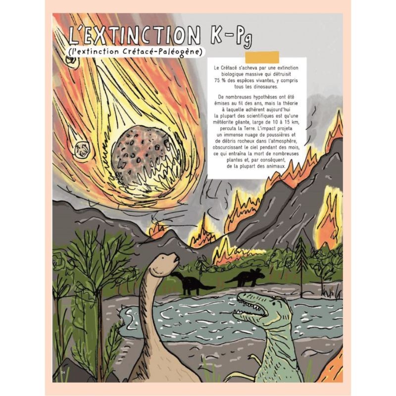 Secrets de pierres et d'os - Les fossiles nous racontent l'histoire de la vie