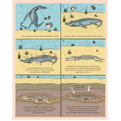 Secrets de pierres et d'os - Les fossiles nous racontent l'histoire de la vie