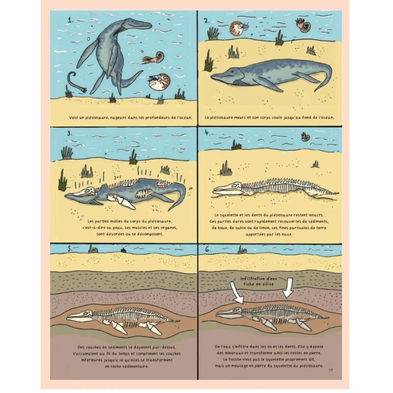 Secrets de pierres et d'os - Les fossiles nous racontent l'histoire de la vie