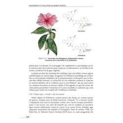 Biodiversité et évolution du monde végétal