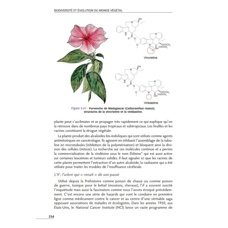 Biodiversité et évolution du monde végétal