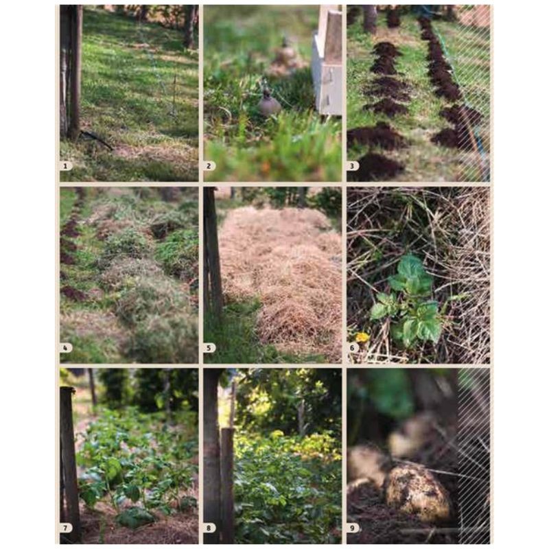 Marie Chioca, du potager à la cuisine - Coffret 2 livres