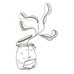 La santé grâce aux microbes - Fabuleuses fermentations