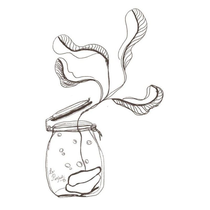 La santé grâce aux microbes - Fabuleuses fermentations