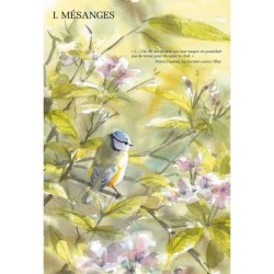 Petit traité d'écologie sauvage - La cosmologie du futur - T.2 - BD