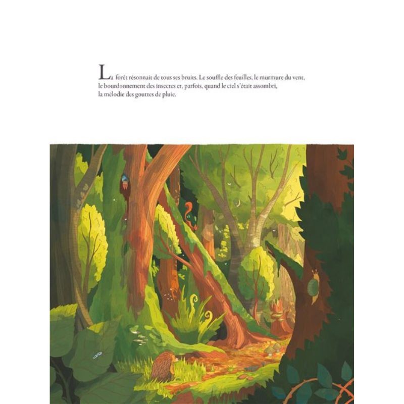 La route qui traverse la forêt