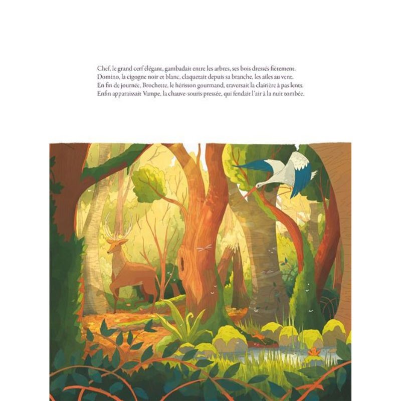 La route qui traverse la forêt