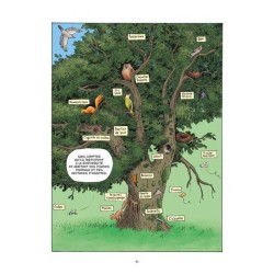 Le Génie de la forêt - BD