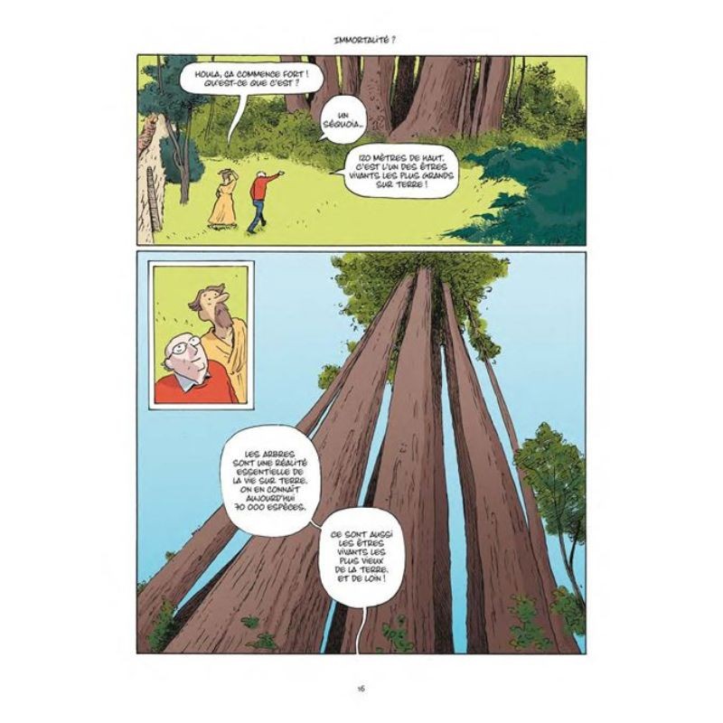 Le Génie de la forêt - BD