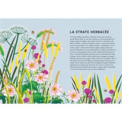 Renaturer son jardin - Semer la diversité, faire pousser l'avenir