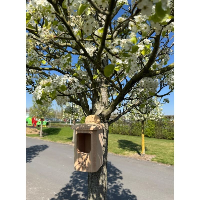 Nichoir "Happy Birds" semi-ouvert bis – Bois - Europlay