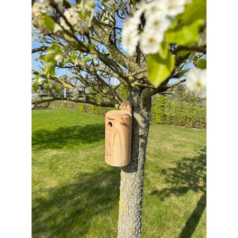 Nichoir "Happy Birds" 28 mm pour petites mésanges  – Bois de mélèze - Europlay