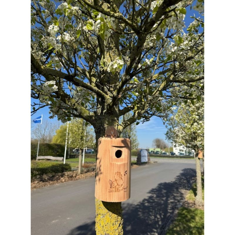 Nichoir "Happy Birds" 28 mm pour petites mésanges  – Bois de mélèze - Europlay