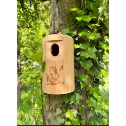 Nichoir "Happy Birds"  trou ovale pour Moineau, ... – Bois de mélèze - Europlay