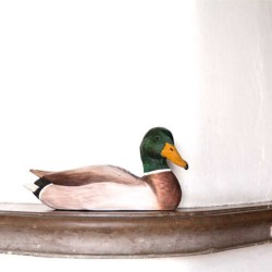 DecoBird Canard colvert mâle - Statuette en bois