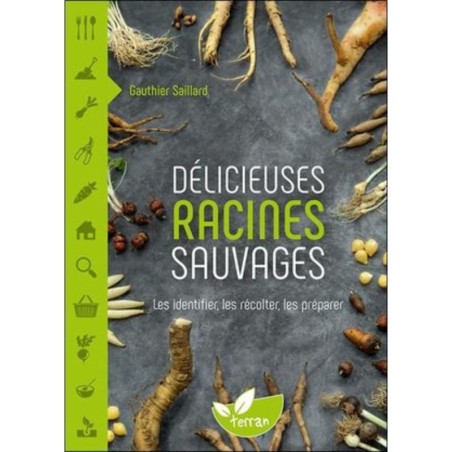 Délicieuses racines sauvages - Les identifier, les récolter, les préparer