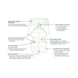 Kit piège sélectif frelons asiatiques - Good4Bees