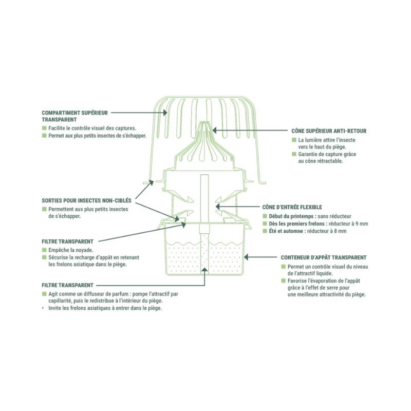 Kit piège sélectif frelons asiatiques - Good4Bees