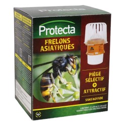 Kit piège sélectif frelons asiatiques - Good4Bees