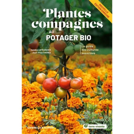 Plantes compagnes au potager bio - Le guide des cultures associées