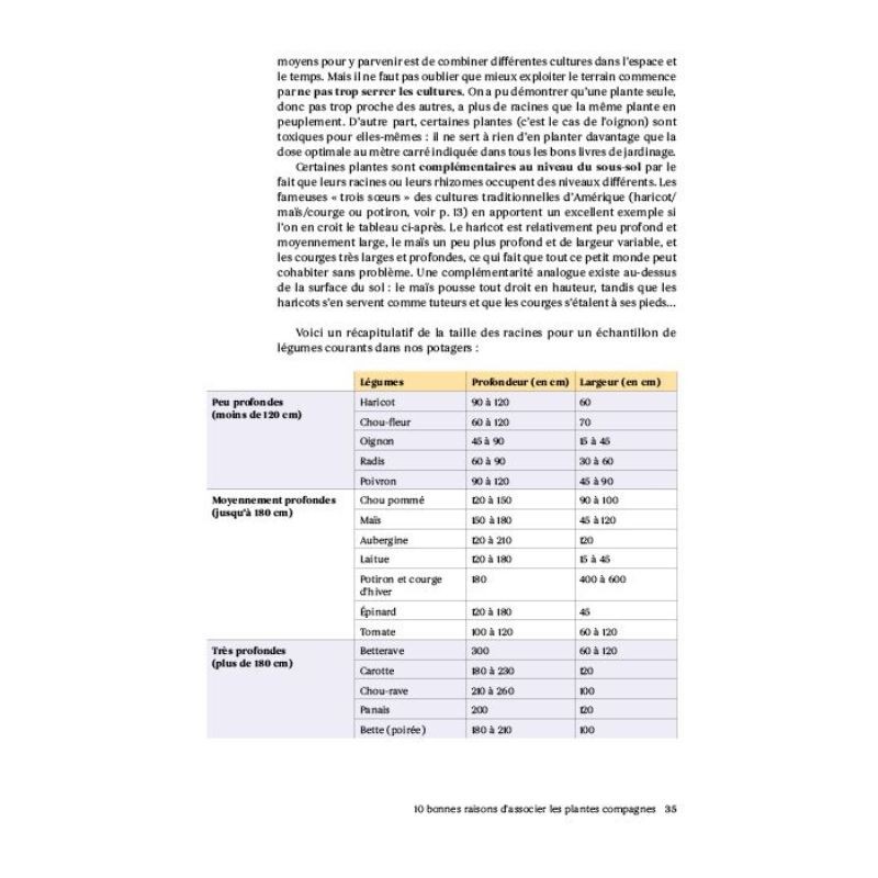 Plantes compagnes au potager bio - Le guide des cultures associées