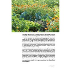 Plantes compagnes au potager bio - Le guide des cultures associées