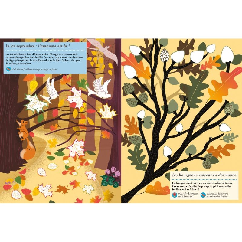 Les quatre saisons - Mon cahier nature