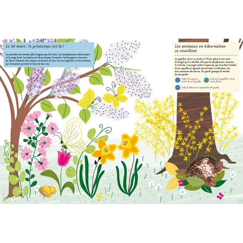 Les quatre saisons - Mon cahier nature